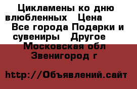 Цикламены ко дню влюбленных › Цена ­ 180 - Все города Подарки и сувениры » Другое   . Московская обл.,Звенигород г.